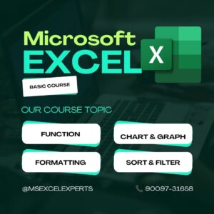 Microsoft Excel - Basic Excel Course