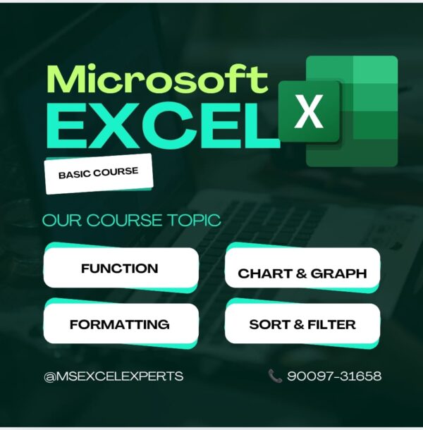 Microsoft Excel - Basic Excel Course